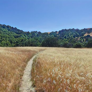Fernandez Ranch - Windmill Trail - Hiking Near Me - Martinez, California