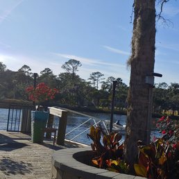 Patio view