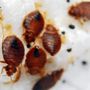 Photo of J Neary Pest Control