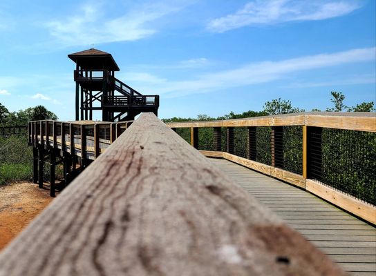 Boca Ciega Millennium Park by null