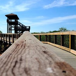 Boca Ciega Millennium Park