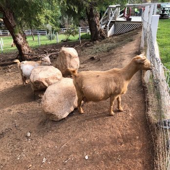 Wishing Well Mini Ranch - Vacation Rentals Near Me - Vista, California