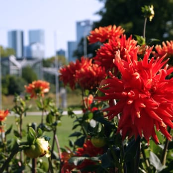 Palmengarten - Botanical Gardens Near Me - Frankfurt, HE