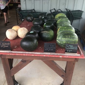 McCall T R Farm - Prices as of 6/13/24 - Fruits & Veggies Near Me - Penrose, North Carolina McCall T R Farm - Prices as of 6/13/24 - Fruits & Veggies Near Me - Penrose, North Carolina