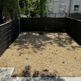 Power Tree Removal  - Tree Services Near Me - Brooklyn, New York