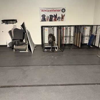 Devotion To Dogs - Pet Training Near Me - El Cajon, California Devotion To Dogs - Pet Training Near Me - El Cajon, California
