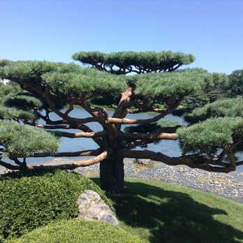 Chicago Botanic Garden - Botanical Gardens Near Me - Glencoe, Illinois