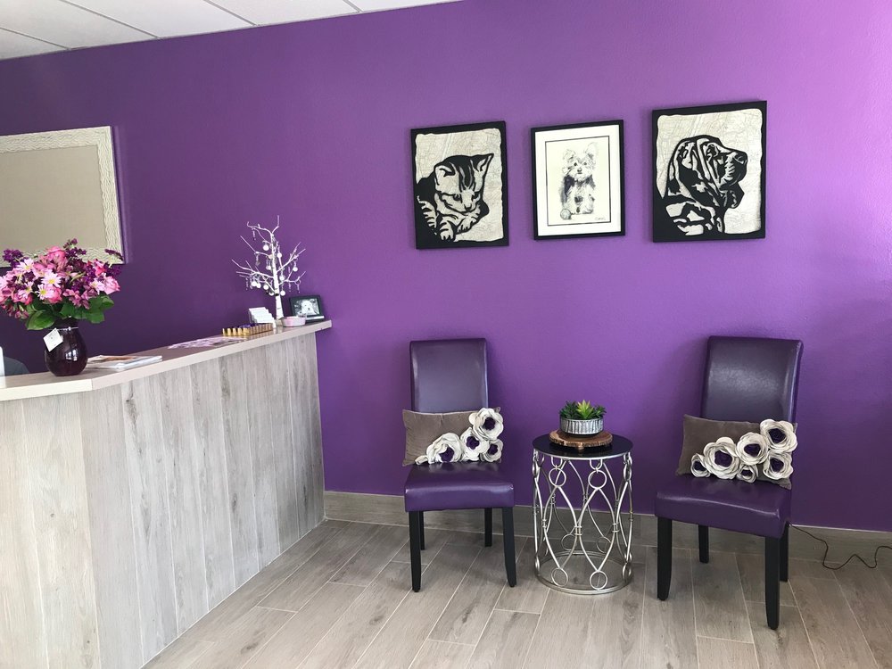 purple paws pet clinic