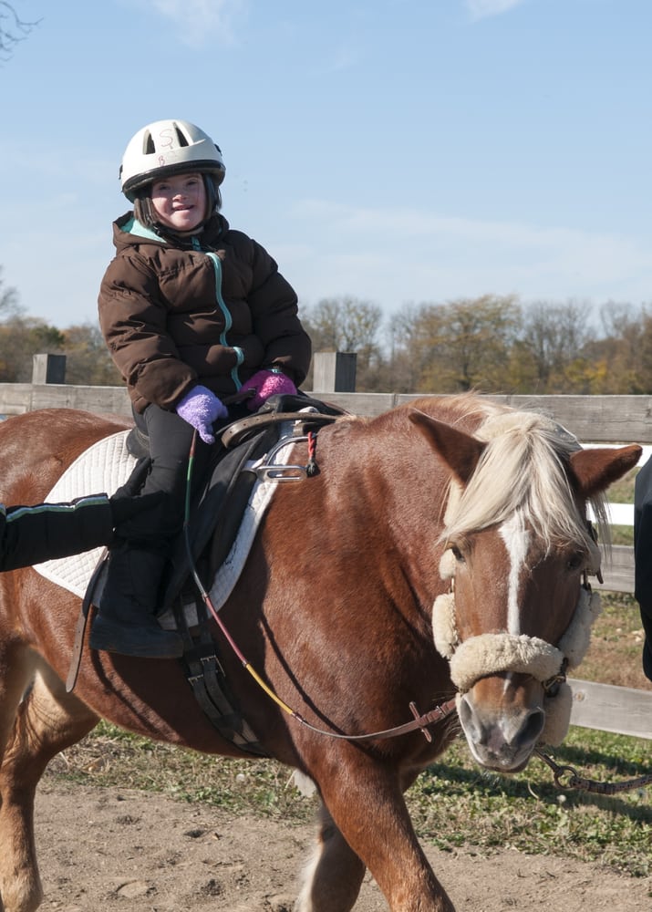 Equine Dreams - equestrian in Newark, IL