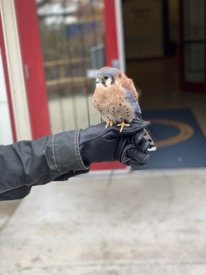 The Peregrine Fund's World Center For Birds of Prey by null