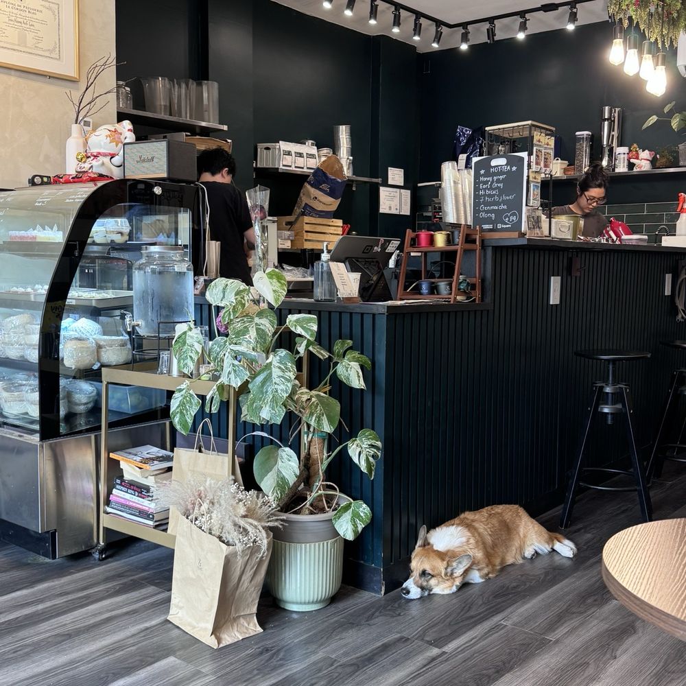 +84 Cafe - Vietnamese Near Me - Toronto, Ontario +84 Cafe - Vietnamese Near Me - Toronto, Ontario