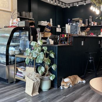 +84 Cafe - Vietnamese Near Me - Toronto, Ontario