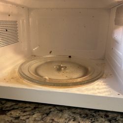 Reid’s Cleaning - Dirty Microwave