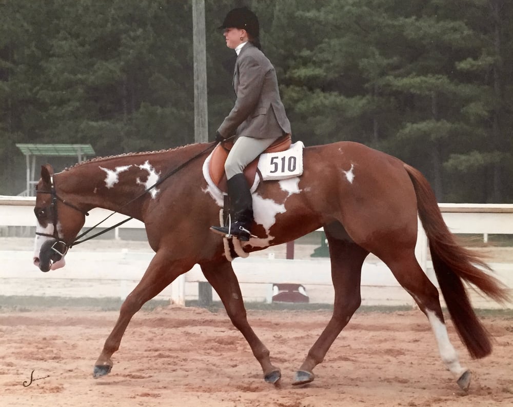 Lil'Aspen Farm - equestrian in Summerfield, NC