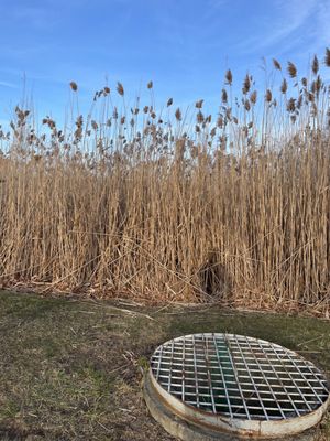 George George Memorial Park by null