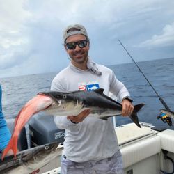 Captain Daddy's Fishing Charter