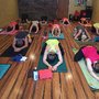 Red Brick Yoga