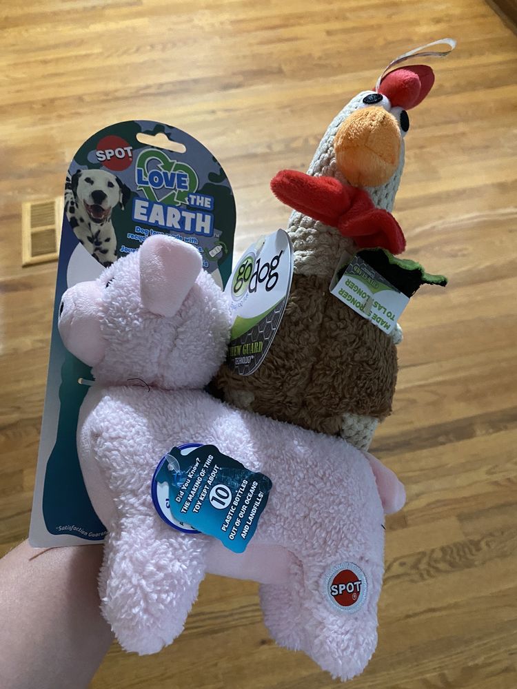 Pet Supermarket Image