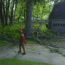 Dillon Tree Service - just a small fraction of the mammoth pile of trimmings - to be fed into the chipper