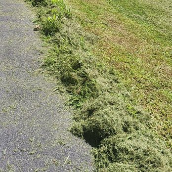 TerraSafe Pest & Landscape - This is the edge that was left after mowing was completed. - Pest Control Near Me TerraSafe Pest & Landscape - This is the edge that was left after mowing was completed. - Pest Control Near Me