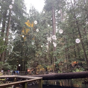 Capilano Suspension Bridge Park - Nature Walk - Parks Near Me - North Vancouver, British Columbia