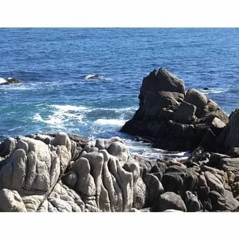 Monterey Bay Coastal Trail - Rocks - Hiking Near Me