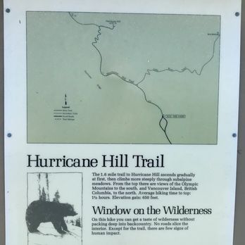 Olympic National Park - Hurricane Hill Trail map - Parks Near Me - Port Angeles, Washington
