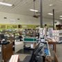 Photo of Bennett's