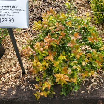 Country Nursery - Nurseries & Gardening Near Me - Burtonsville, Maryland