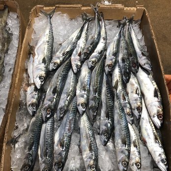 Flying Fish Seafood - Mackerels - Seafood Markets Near Me - Philadelphia, Pennsylvania Flying Fish Seafood - Mackerels - Seafood Markets Near Me - Philadelphia, Pennsylvania