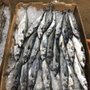 Photo of Flying Fish Seafood