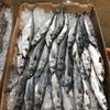 Flying Fish Seafood gift card