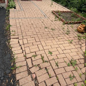 Adrian's Landscape - Before - Landscaping Near Me - Mundelein, Illinois