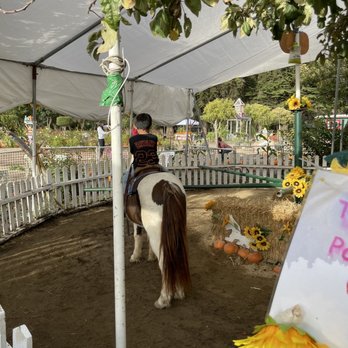 Pastorino's Flowers - Florists Near Me - Half Moon Bay, California