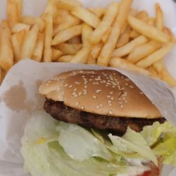 Hott Diggity Dawg Vending and Catering - Fries and traditional burger