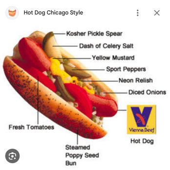 Chicago Deli - Actually Chicago Style Hot Dog - Delis Near Me - Saint Petersburg, Florida