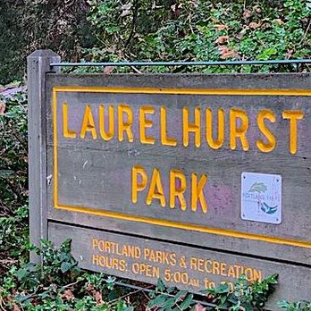 Laurelhurst Park - Parks Near Me - Portland, Oregon Laurelhurst Park - Parks Near Me - Portland, Oregon