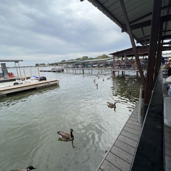 Stumpy's  Lakeside Grill - The geese that stalk you while you eat - American Near Me - Granbury, Texas
