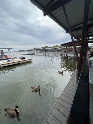 Stumpy's Lakeside Grill by null