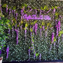 Cafe de LaSha - Picture Opportunity!