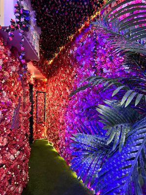 Octopus Kitchen & Hookah by null