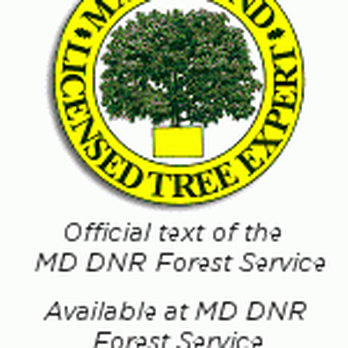 Recinos Landscaping and Tree Services - the official text of the mdn forest service available at mdn forest service - Tree Services Near Me Recinos Landscaping and Tree Services - the official text of the mdn forest service available at mdn forest service - Tree Services Near Me