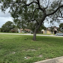 Brighton Park