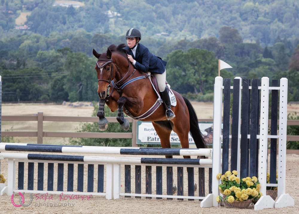 Schwarzer Sporthorses Logo