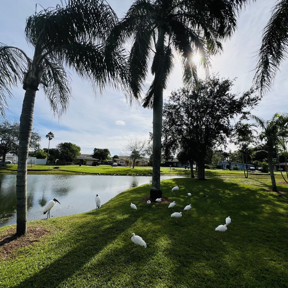 Wolk Park - Parks Near Me - Lauderhill, Florida Wolk Park - Parks Near Me - Lauderhill, Florida