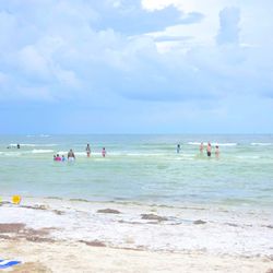 Honeymoon Island State Park - Honeymoon island beach lot 1