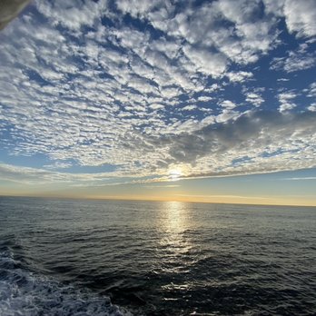 Ocean Safari Scuba - Morning Leaving San Pedro - Scuba Diving Near Me - San Gabriel, California