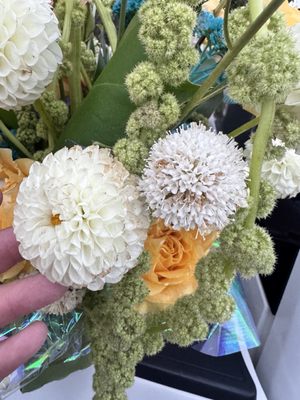 Flowerboy Project by null