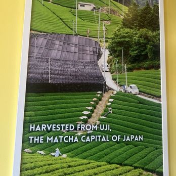 Junbi Matcha & Tea - Planted by the Matcha Capital of Japan , Uji - Bubble Tea Near Me - San Francisco, California Junbi Matcha & Tea - Planted by the Matcha Capital of Japan , Uji - Bubble Tea Near Me - San Francisco, California