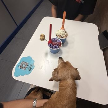 Taiwan Ice - Ice Cream & Frozen Yogurt Near Me - North Miami Beach, Florida